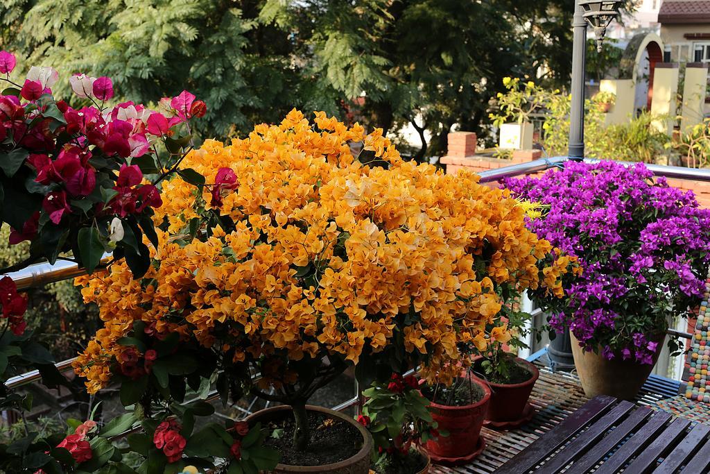 Shangrila Boutique Hotel Katmandu Kültér fotó